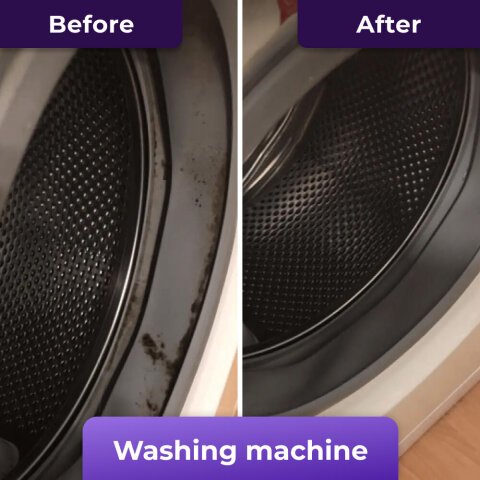 Mold removed from washing machine gasket
